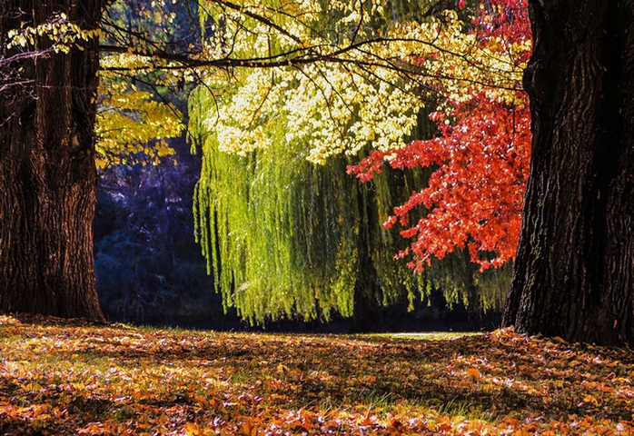 Peaceful LocationPhotography by Kaye Kenedy